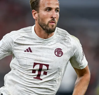 推向高潮 推向高潮